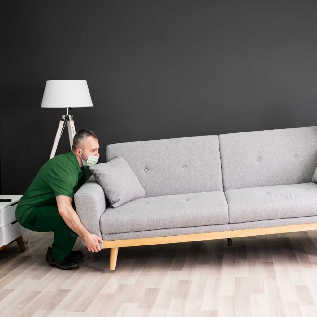 Furniture Movers Al Barsha